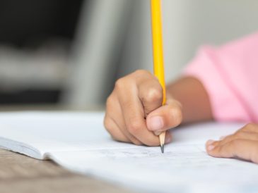 Recupero anni scolastici a Rozzano